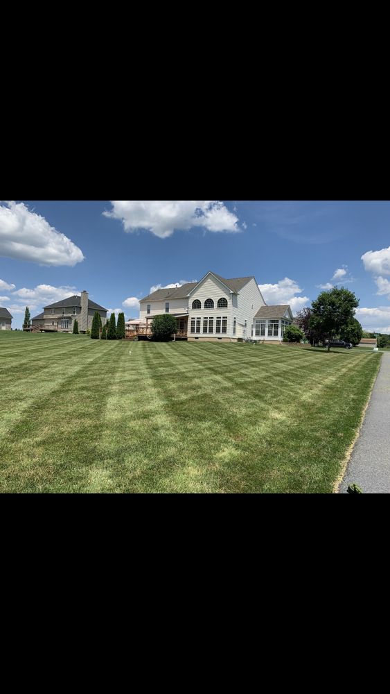 Oasis Property Services