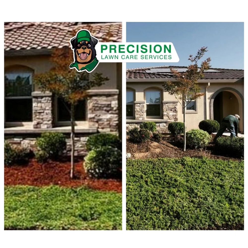 Precision Lawn Care Services
