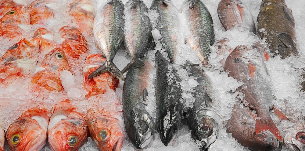 Osler Fish Market