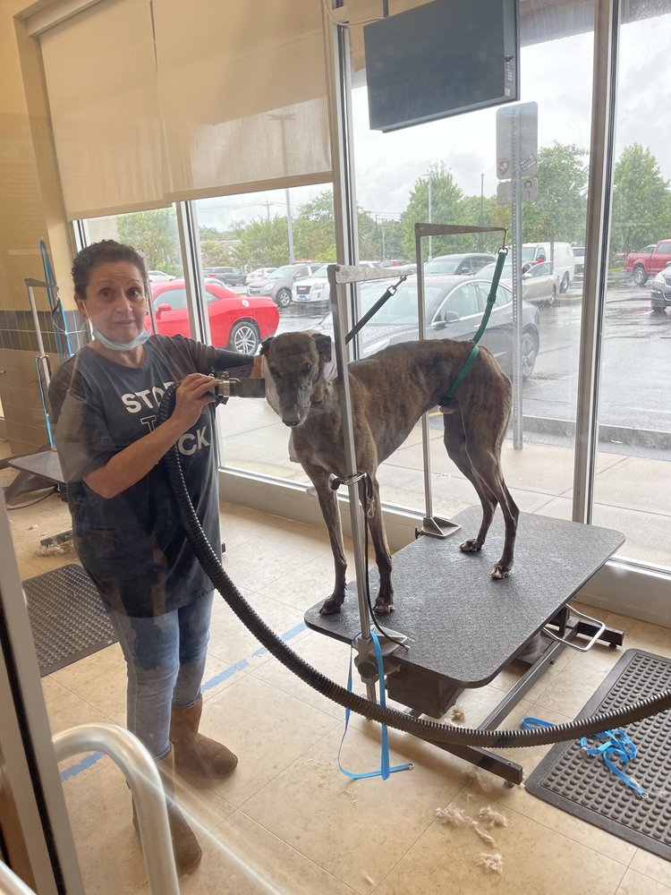 Petco
