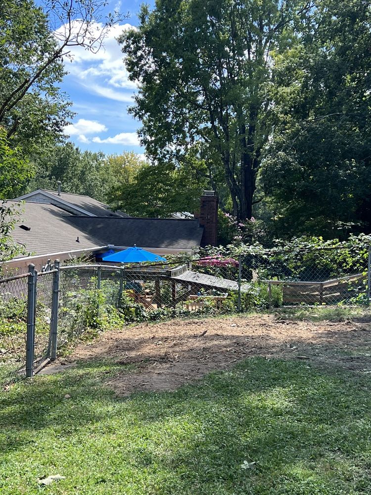 Rlayang Tree service