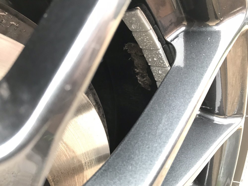 Weber Tire Co 25 Photos 55 Reviews Tires 10900 Main St Weber Tire