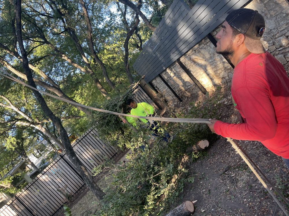 Joe's Tree Care