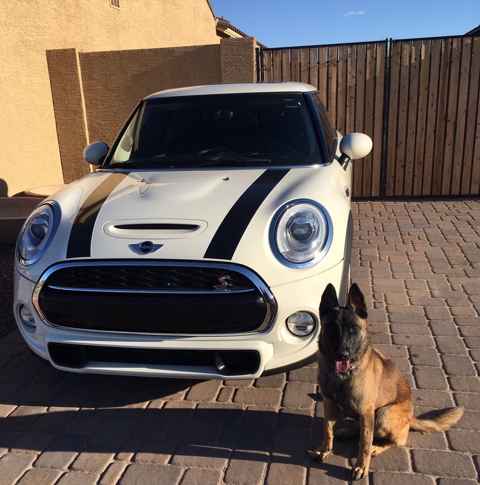 Mini North Scottsdale >> Mini North Scottsdale 26 Photos 103 Reviews Car Mini North Scottsdale >> Mini North Scottsdale 26 Photos 103 Reviews Car