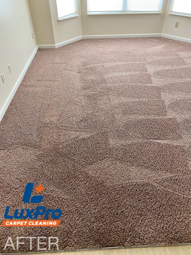Lux Pro Carpet Cleaning