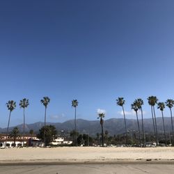 East Beach 161 Photos 50 Reviews Parks 1400 Cabrillo Blvd Photo Of East Beach Santa Barbara Ca United States