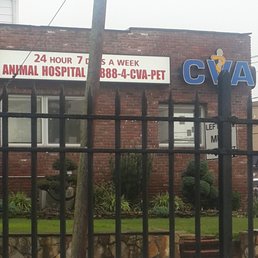 Central veterinary associates coupons