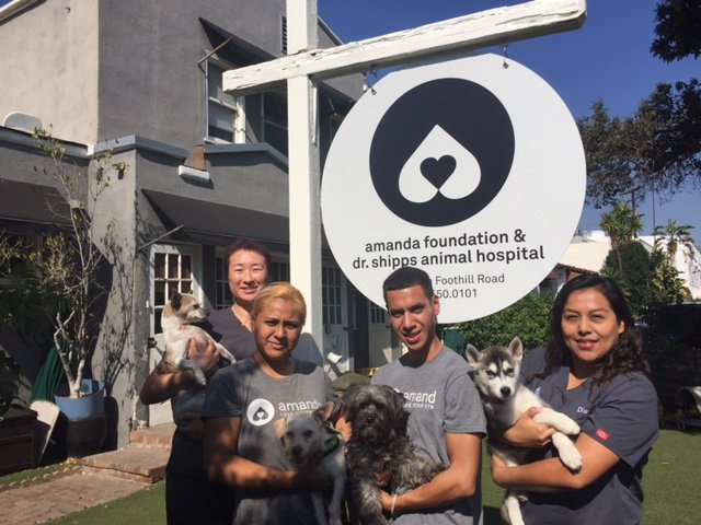 The Amanda Foundation Dr Shipp S Animal Hospital 106 Photos The Amanda Foundation Dr Shipp S Animal Hospital 106 Photos 205 Reviews Shelters 351 Foothill Rd Beverly Hills Ca Phone Number Yelp