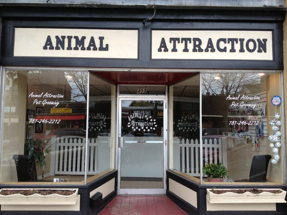 Animal Attraction 12 Reviews Pet Groomers 403 Main St, Wakefield
