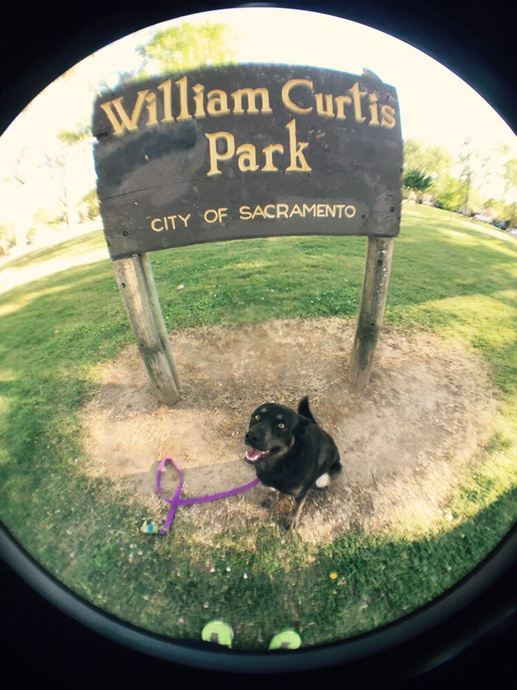 Curtis Park 27 Photos & 23 Reviews Parks 3349 W Curtis Dr, Curtis