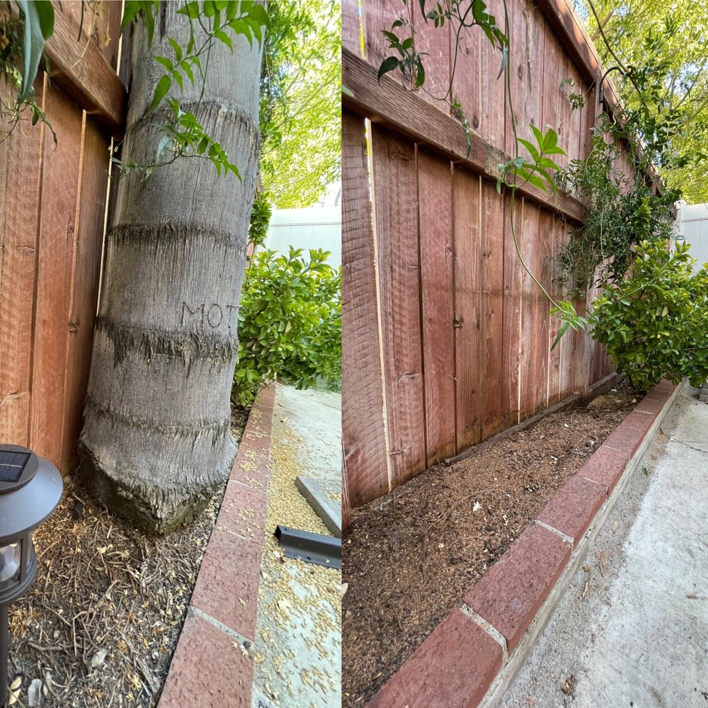 Real Tree Service