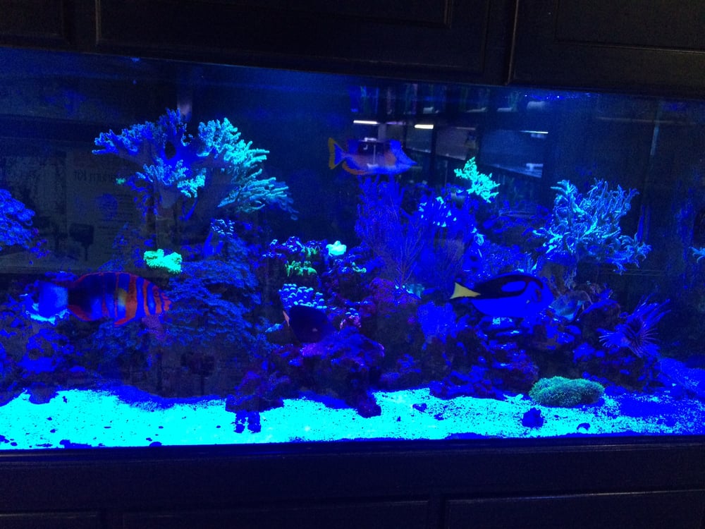 Pet and aquatic warehouse coupons