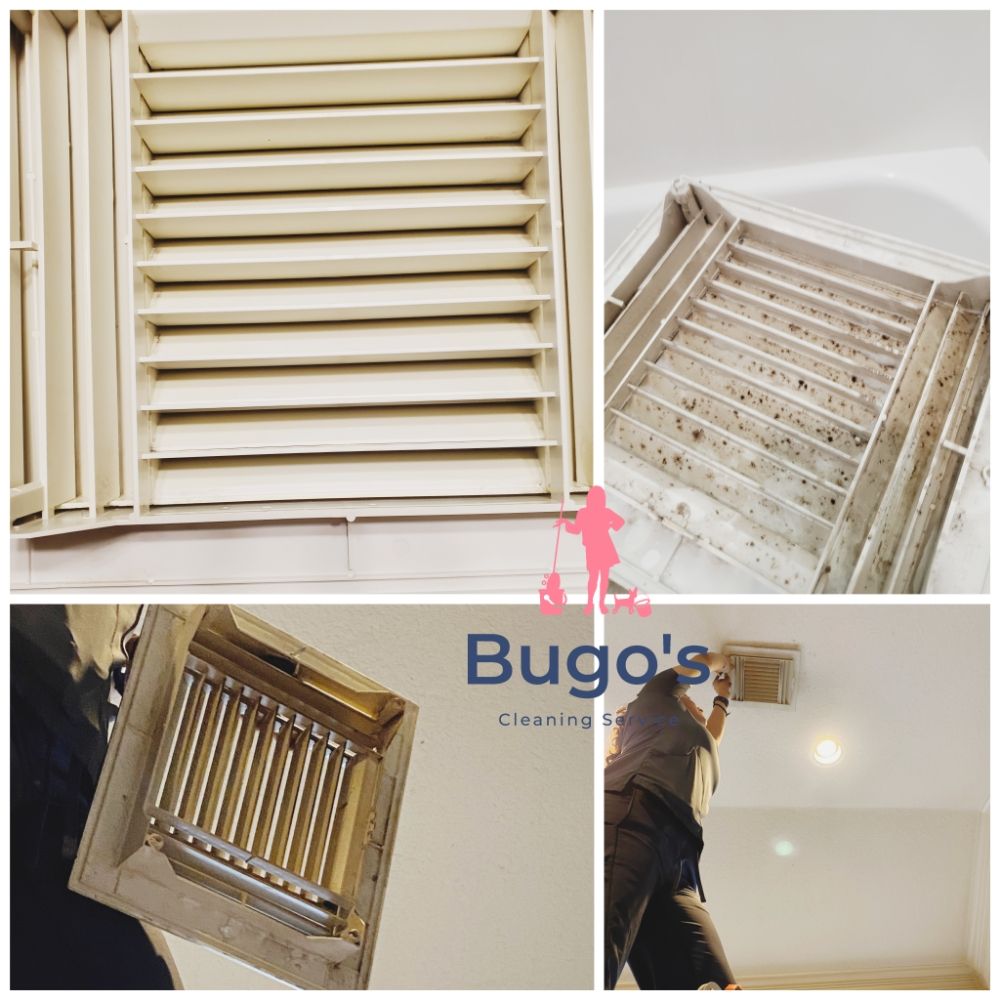 Bugo's Cleaning Service