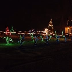 Coyote helps decorate the night Coyote helps decorate the night