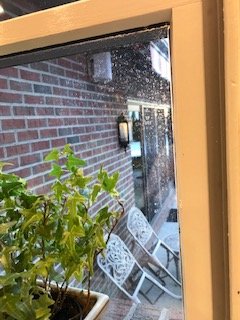Fish Window Cleaning