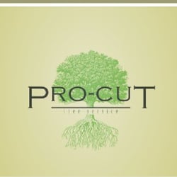 Pro Cut Tree Services Landscaping Everett Wa Phone Number Photo Of Pro Cut Tree Services Everett Wa United States