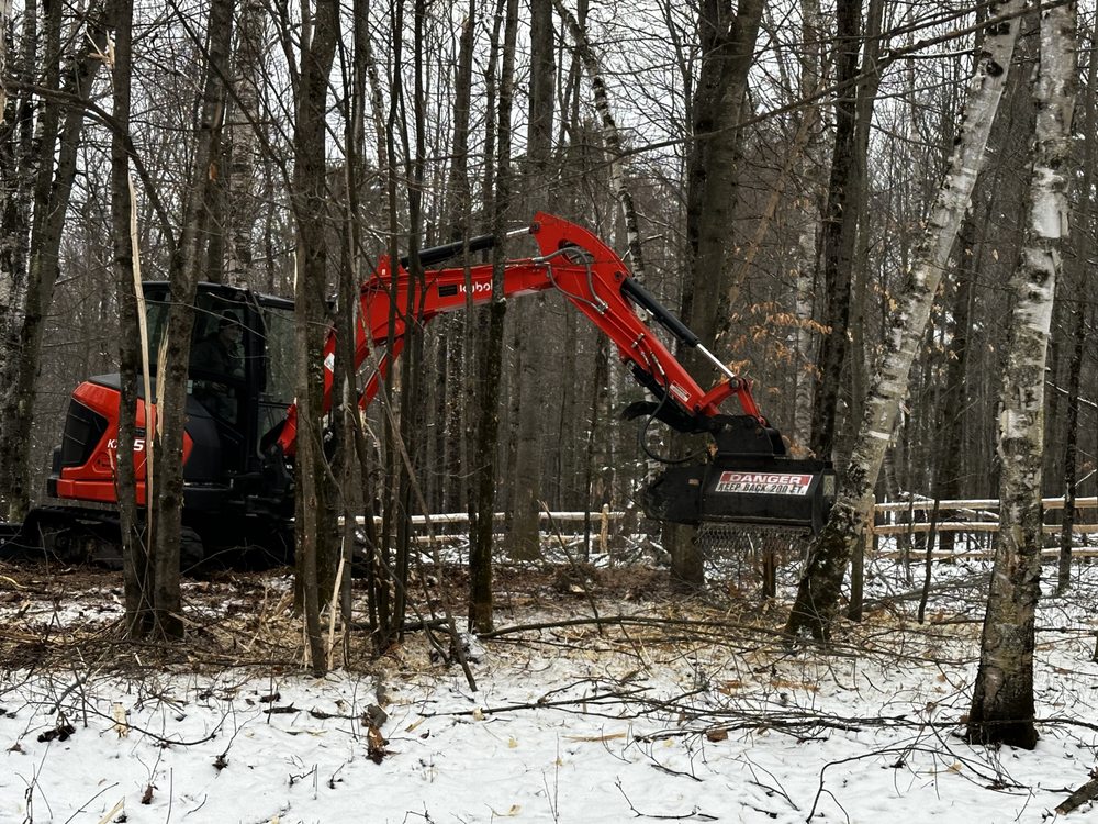 North East Tree Service