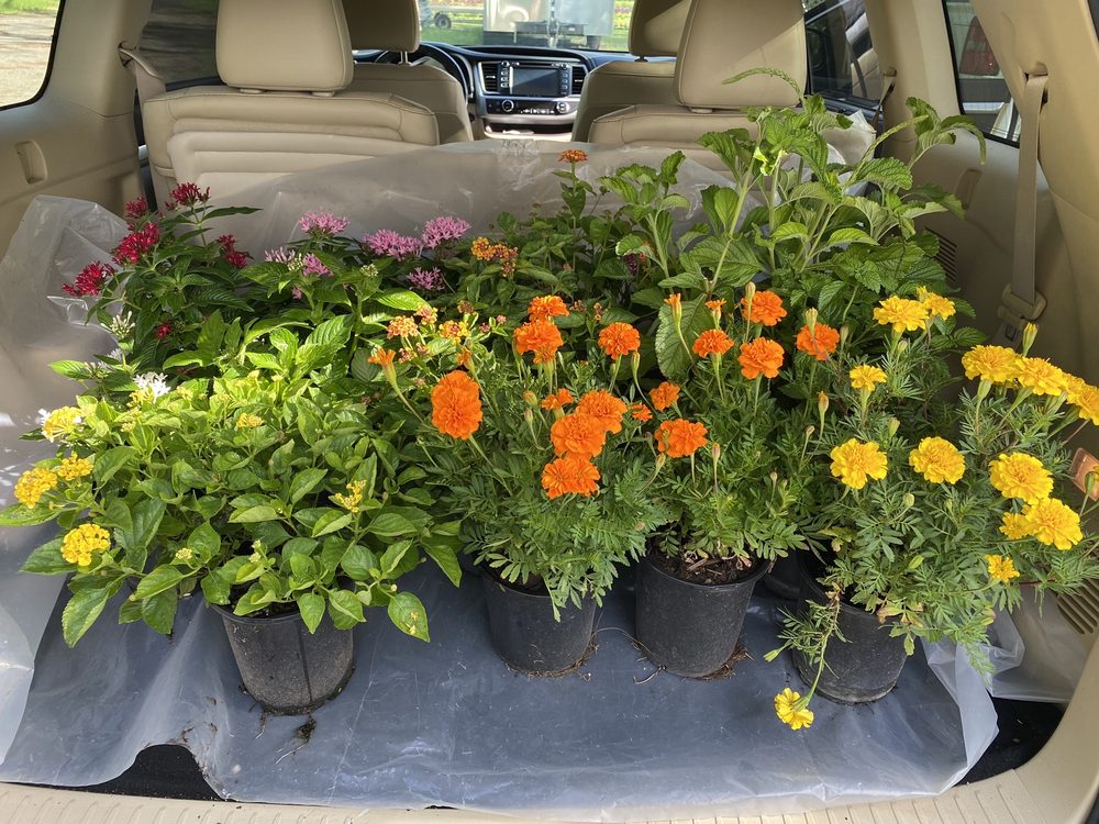 Ferguson's Nursery