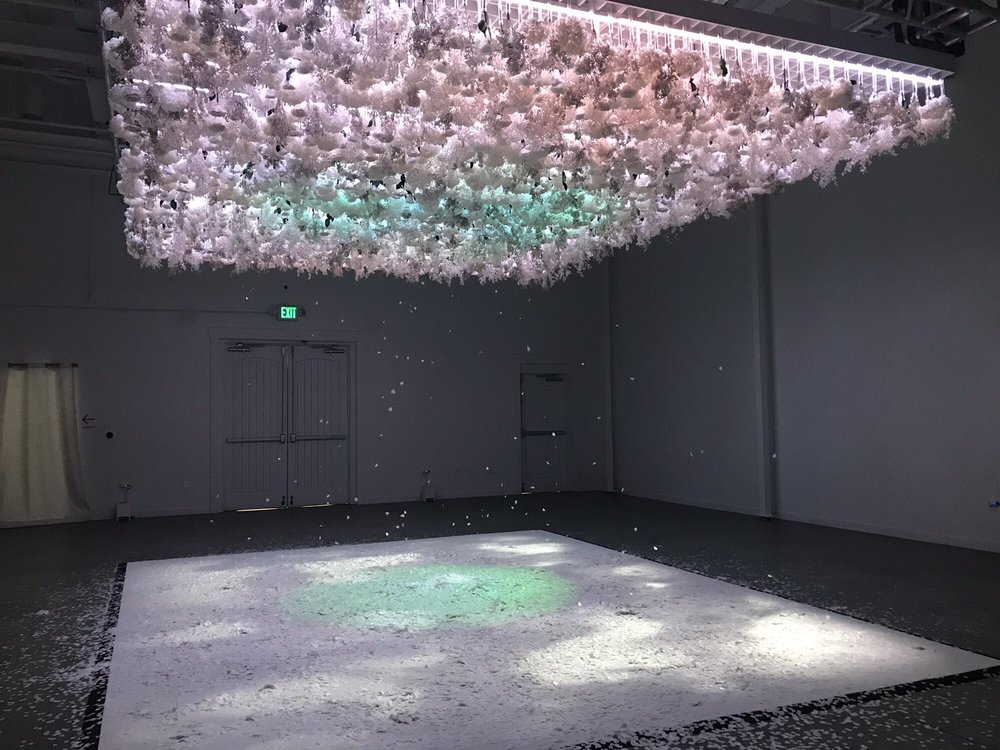 The Art Of Bloom