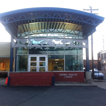 38 Pittsburgh Pet Adoption Centers Pics