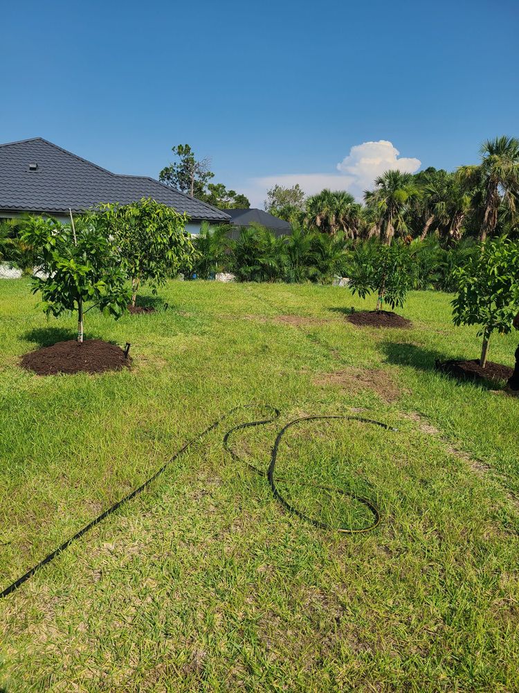 Plant Source Landscape