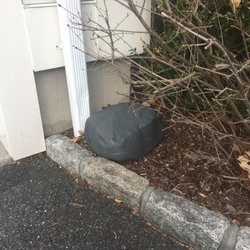 Village Exterminating Pest Control 5 Storm St Dobbs Ferry Ny Photo Of Village Exterminating Dobbs Ferry Ny United States Sometimes Discretion Is