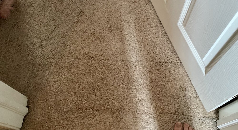 Five Star Carpet Service
