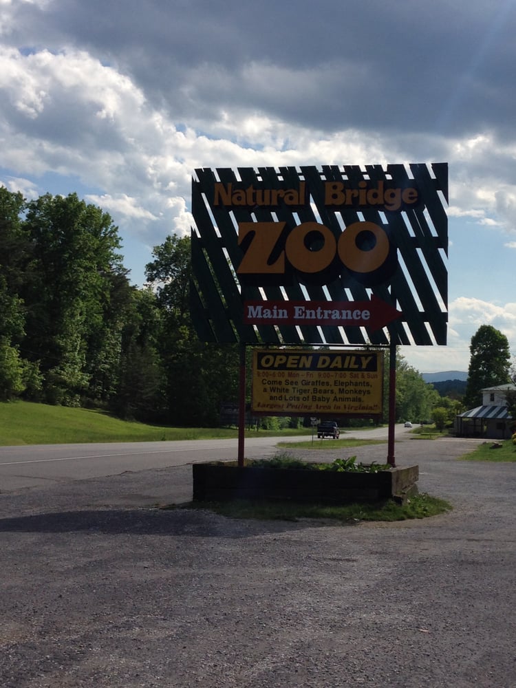 Natural Bridge Zoo 40 Photos & 39 Reviews Zoos 5784 South Lee Hwy