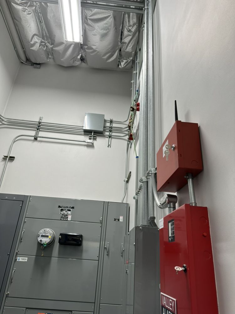 ESAU Electrical Services