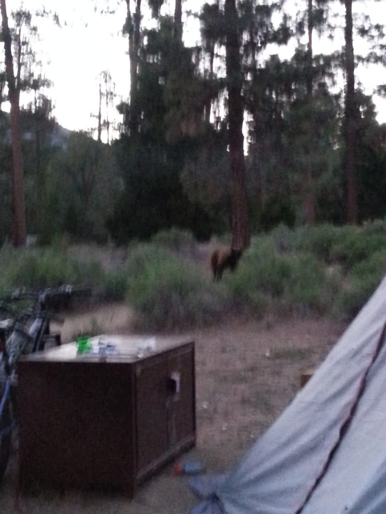 Barton Flats Campground 41 Photos & 25 Reviews Campgrounds