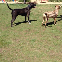 Meadow Park - 17 Photos - Parks - 41220 Park Ave, Big Bear Lake, CA - Yelp