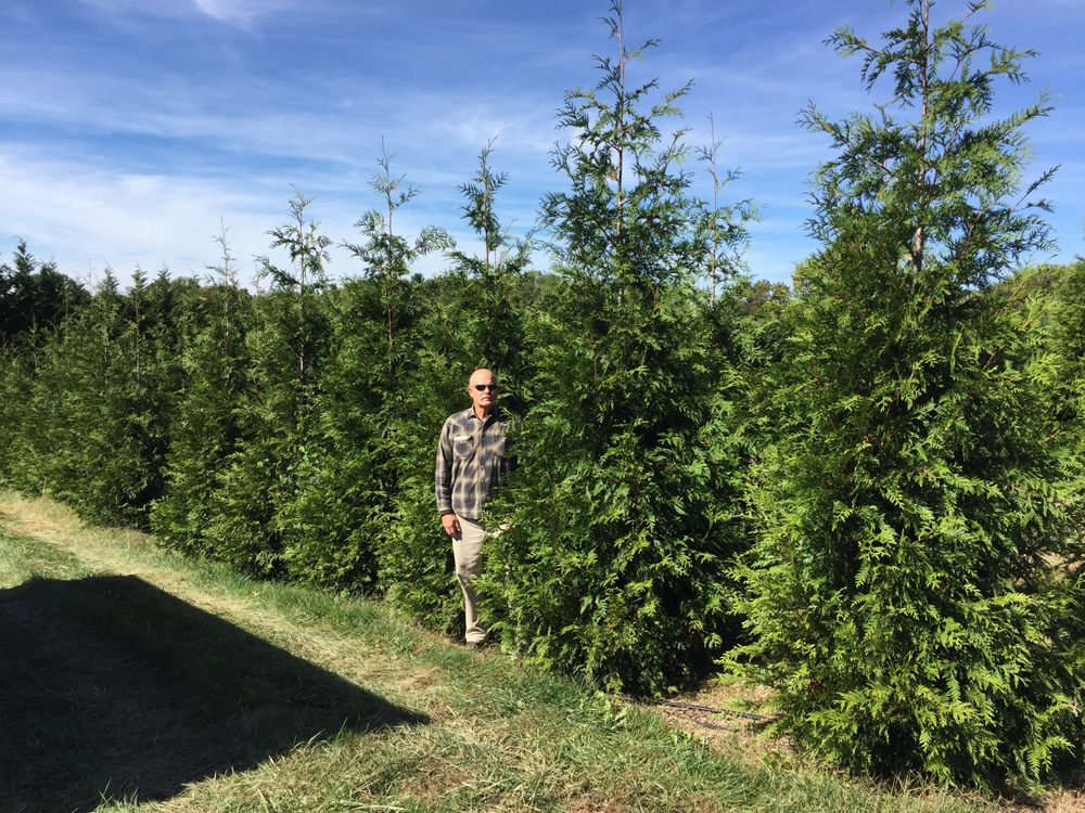 Pryor’s Nursery Nurseries & Gardening 10120 Moxley Rd, Damascus, MD