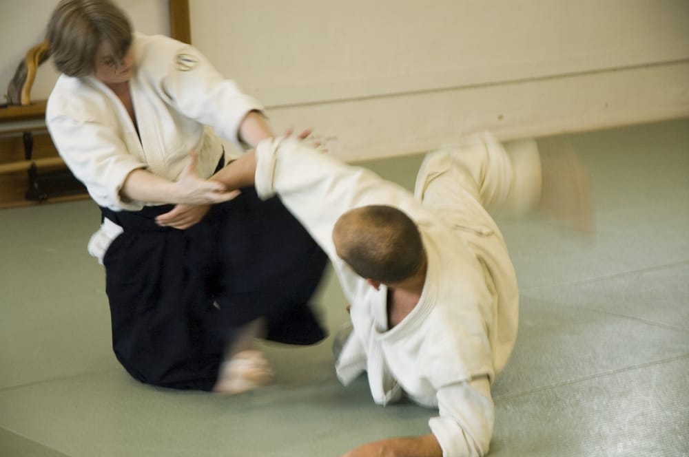 Aikido Multnomah Aikikai Martial Arts 6415 SW Macadam Ave, South