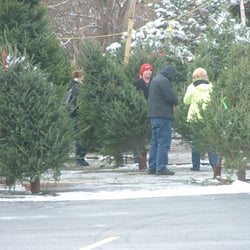 L M Tree Farm Christmas Trees 1290 E Chicago Ave Naperville Photo Of L M Tree Farm Naperville Il United States