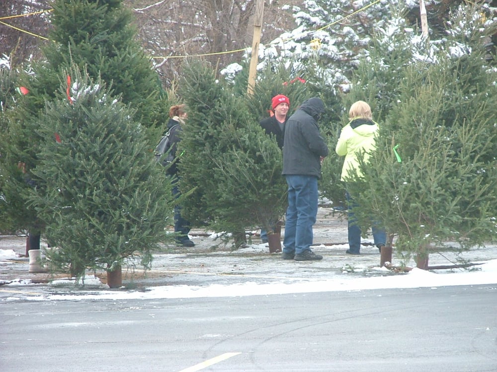 l m tree farm christmas trees 1290 e chicago ave l m tree farm christmas trees 1290 e chicago ave