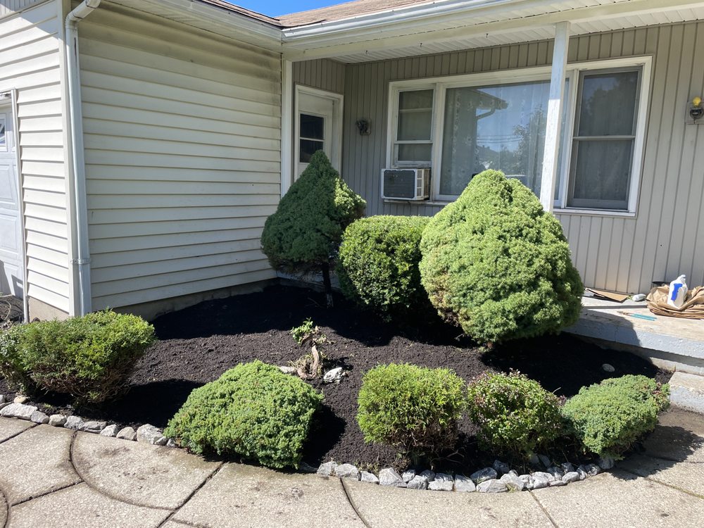 Lucky Lawn Care Services
