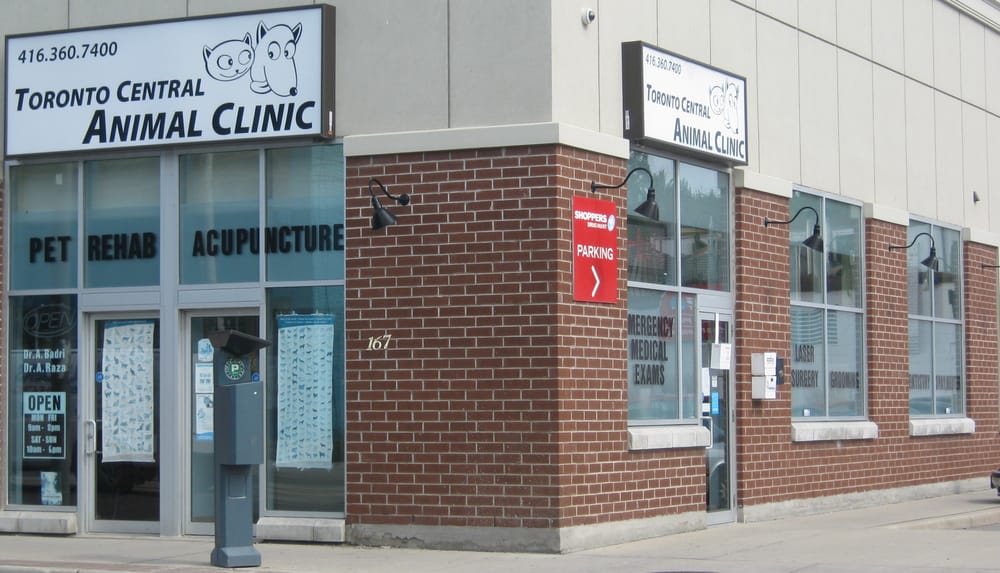 Toronto Central Animal Clinic 12 Reviews Veterinarians 167