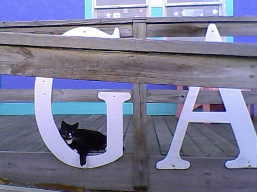 KDH Cooperative Gallery and Studios