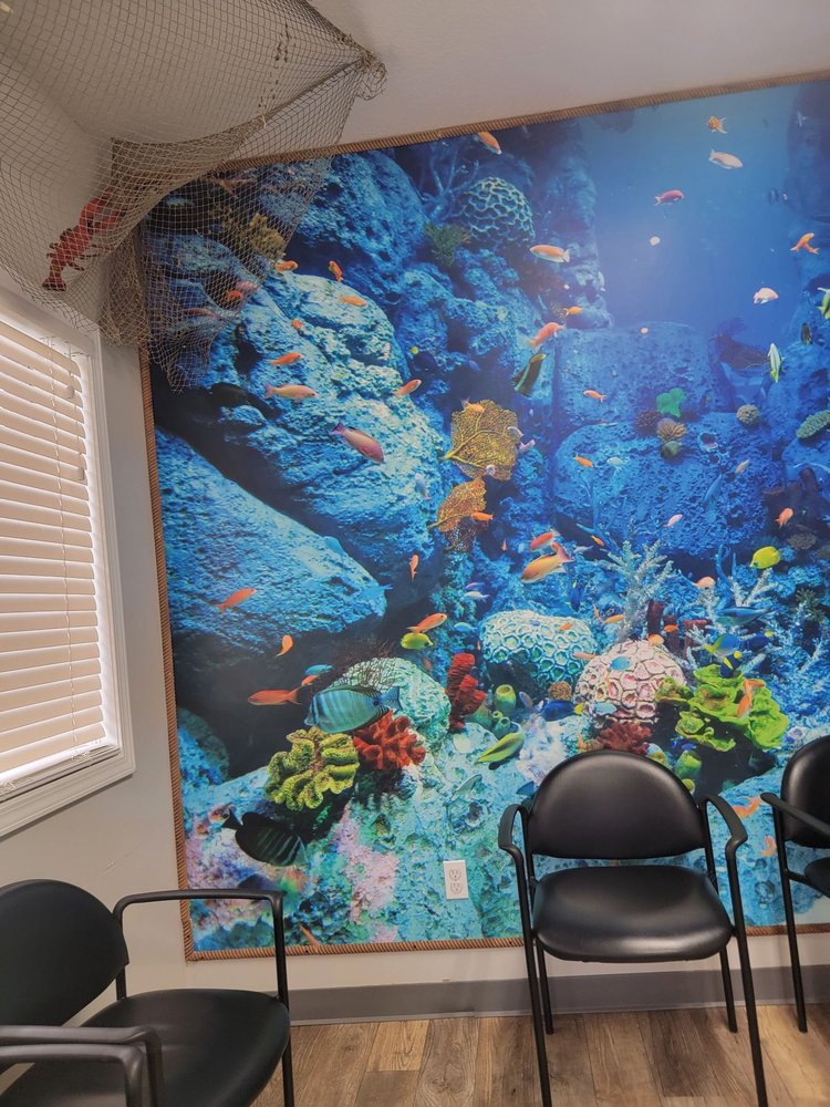 image of business Steve Koplow, DDS