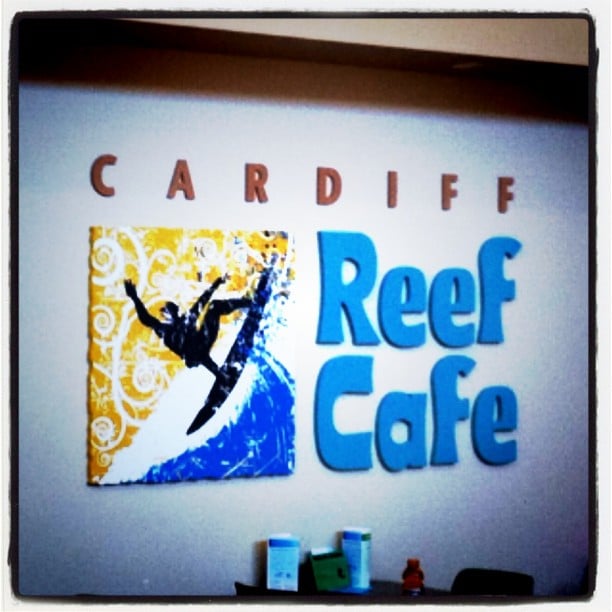 Cardiff Reef Cafe Cardiff Reef Cafe