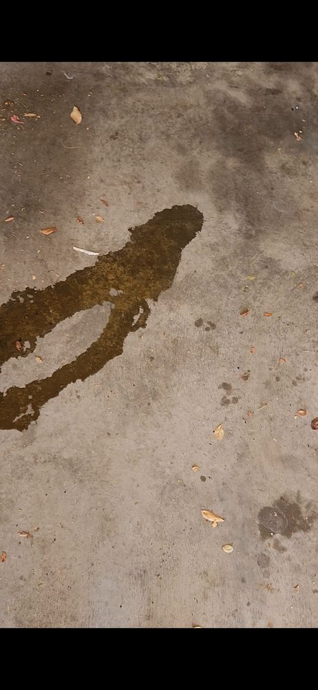 Take 5 Oil Change