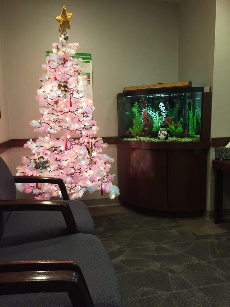 image of business Yuan-Young Liu Dentistry
