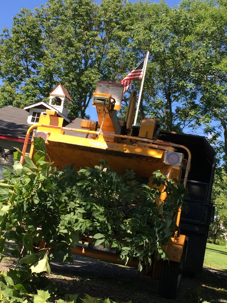Colonial Tree Service