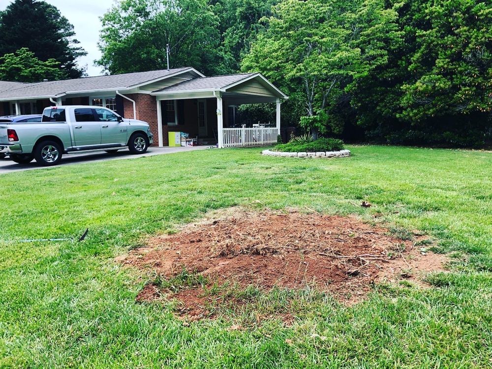 Amigo Tree Service Removal Stump Grinding Cary NC