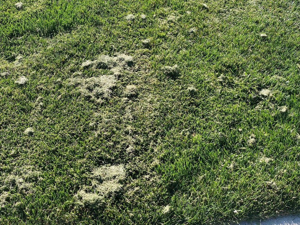 image of business Landscape Associates