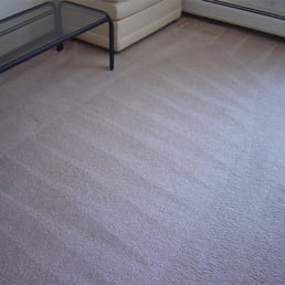 Carpet Cleaners Lisle  Photo of Cornelia Lisle Carpet Cleaning - Lisle, IL, United States