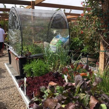 Arbor Day Nursery 45 Photos Nurseries Gardening 2767 W Photo Of Arbor Day Nursery Riverton Ut United States