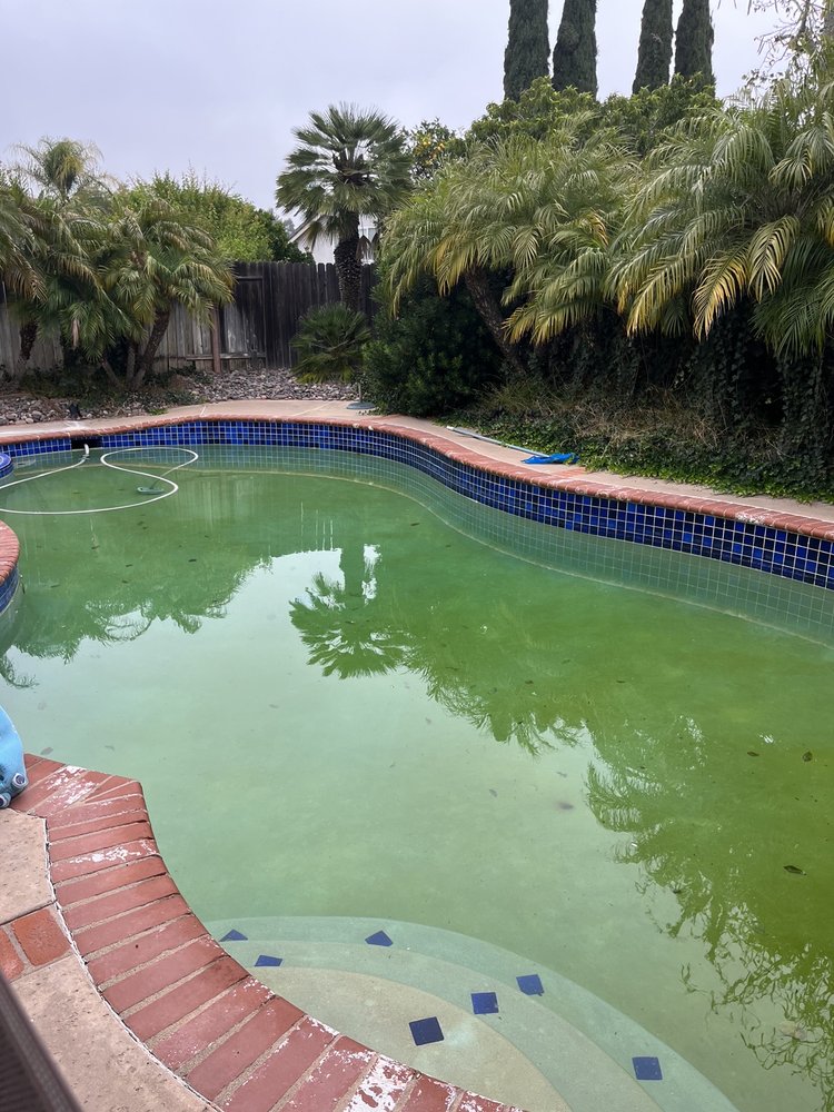 Brushed Pool And Spa