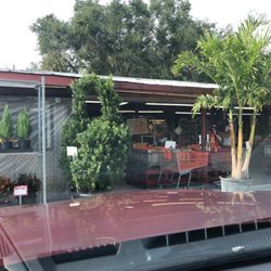 Pell S Citrus Nursery Nurseries Gardening 400 Doyle Rd Photo Of Pell S Citrus Nursery Os Fl United States