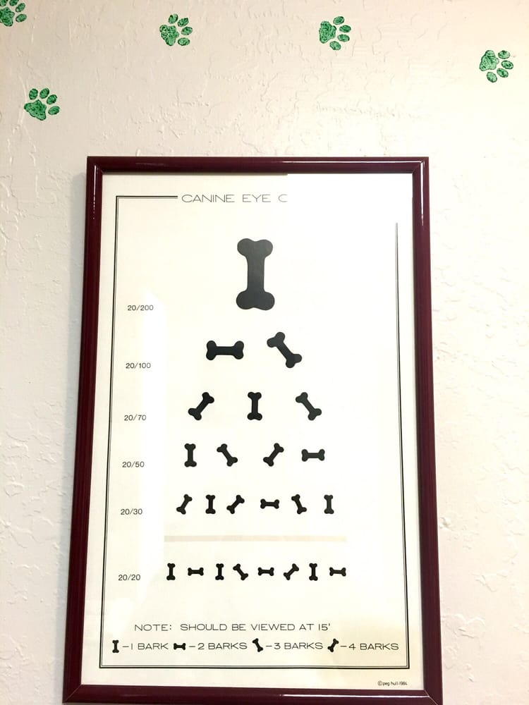 Veterinary Vision Animal Eye Specialists 20 Photos & 58 Reviews